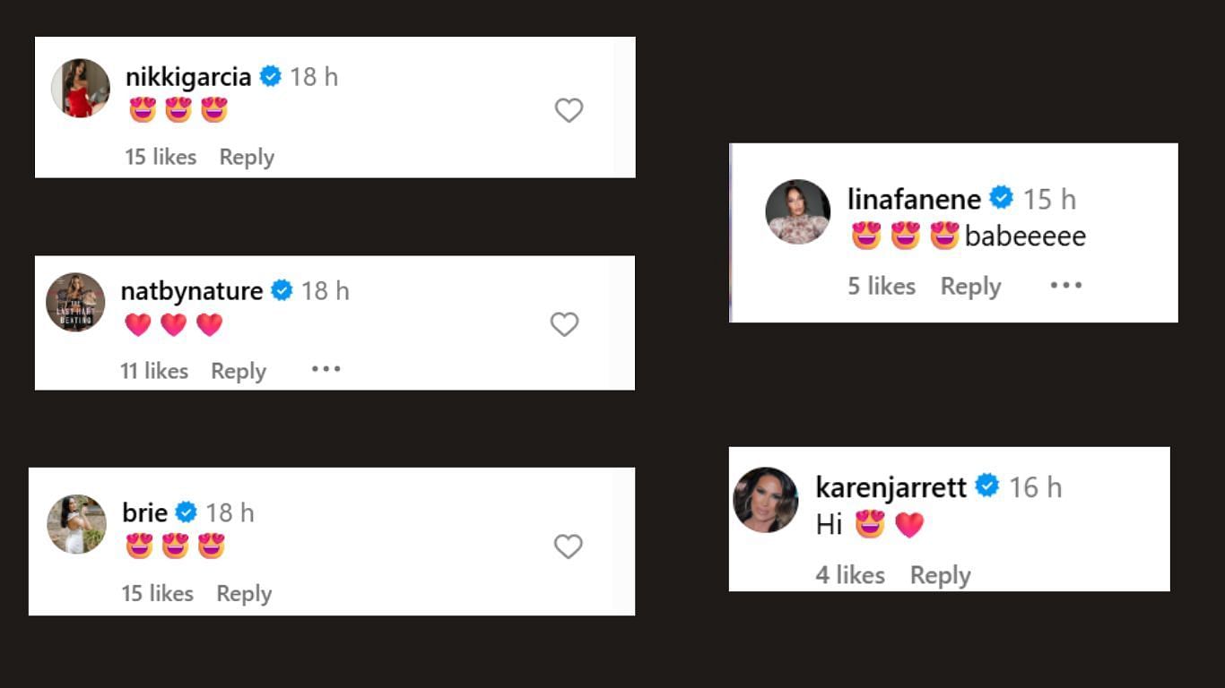 Nikki, Brie, Natalya, Jax, and Jarrett&#039;s Comments [Screenshots taken from Instagram]
