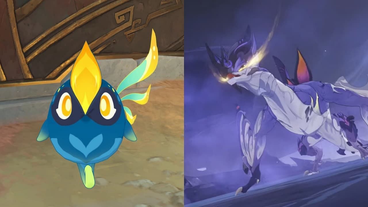 Cocoic (brain) and dragon (body) and cans (pictures through Hovar)