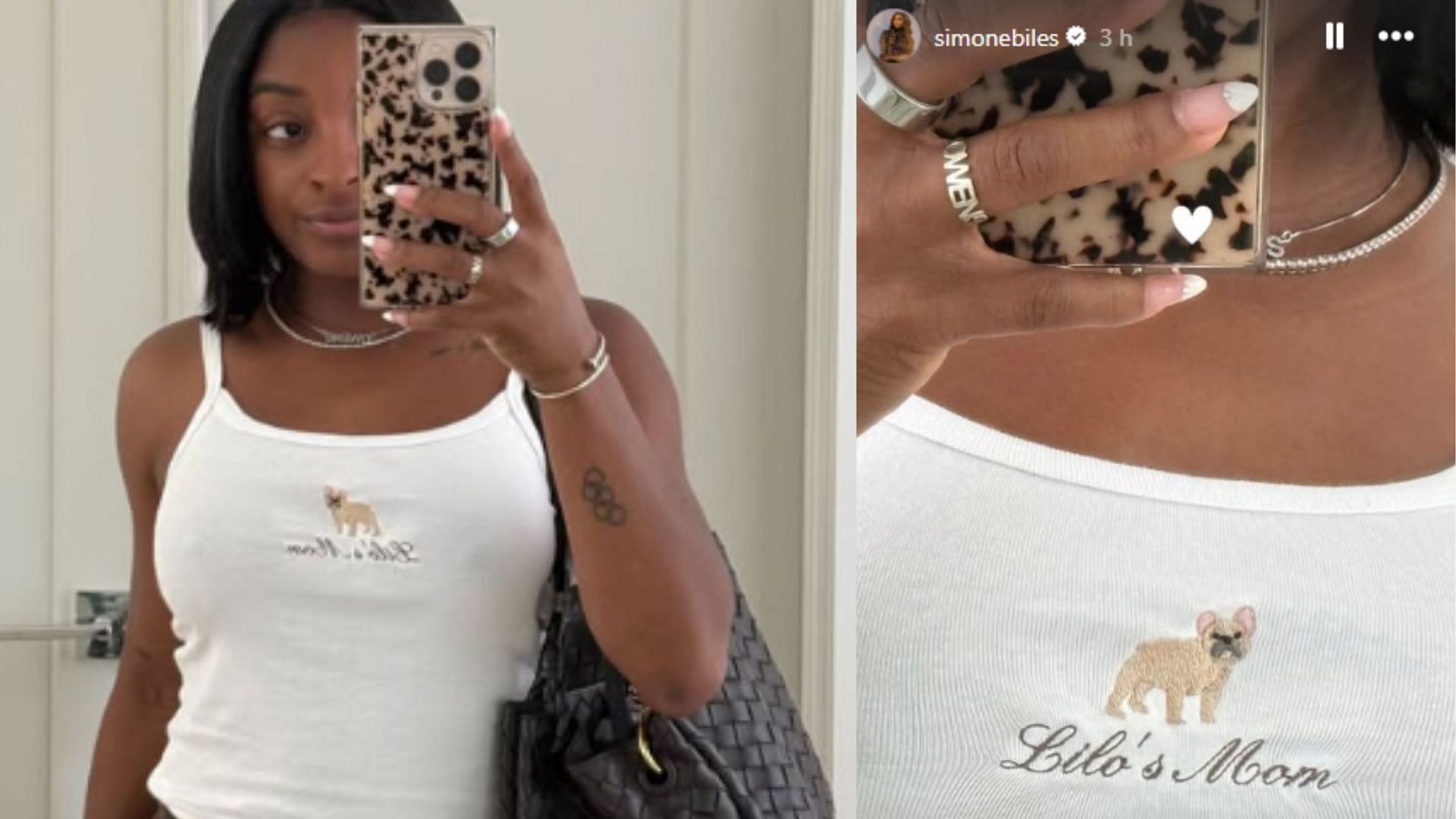 Screengrabs of Simone Biles&#039; Instagram stories about her new friend&#039;s arrival [Image Source : Simone Biles&#039; Instagram]