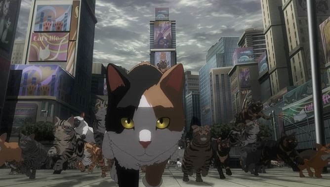 Nyaight of the Living Cat episode 1: Release date and time, where to watch, and more