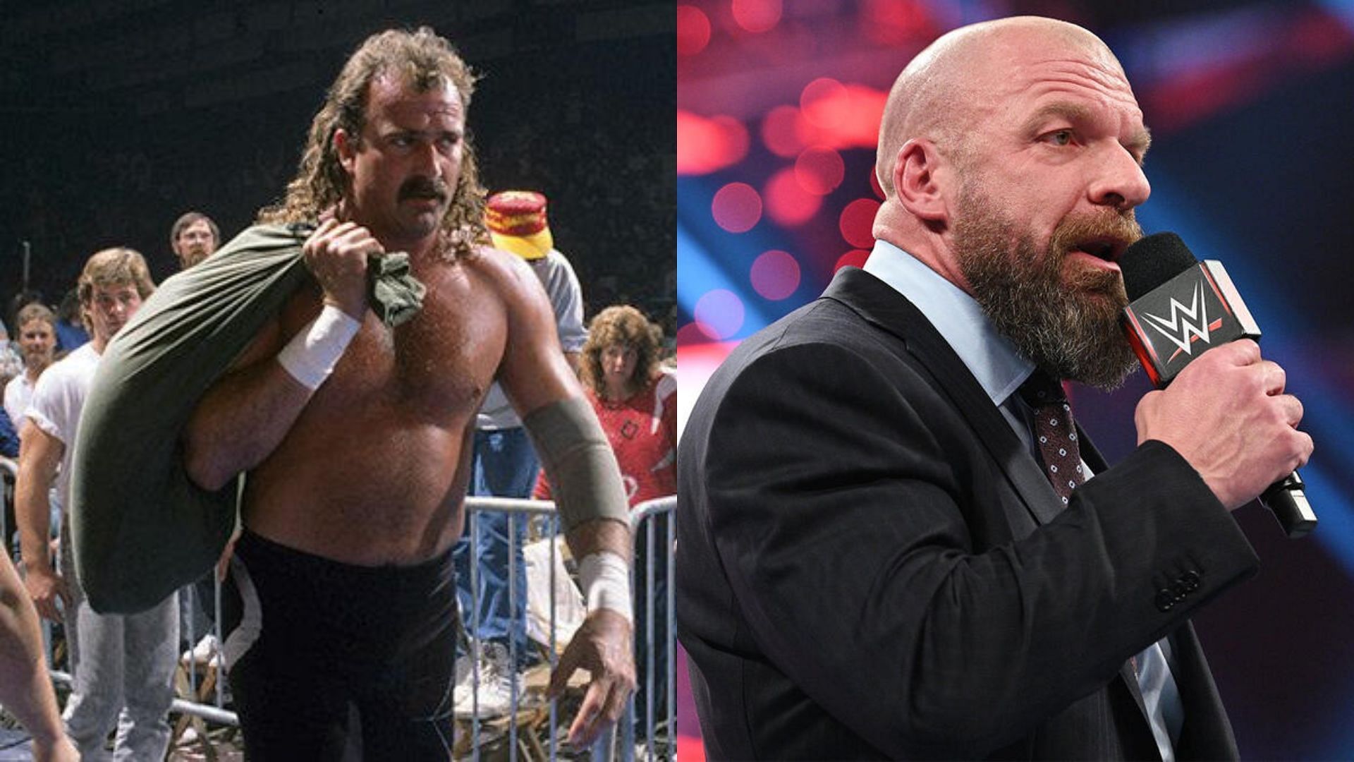 What is Triple H planning next? (via WWE.com)
