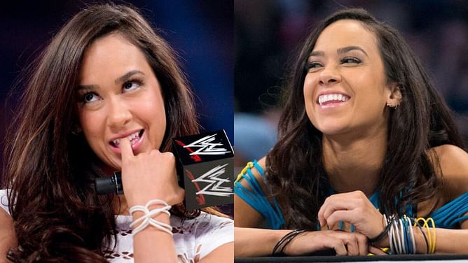 4 Women AJ Lee could target at WWE Evolution