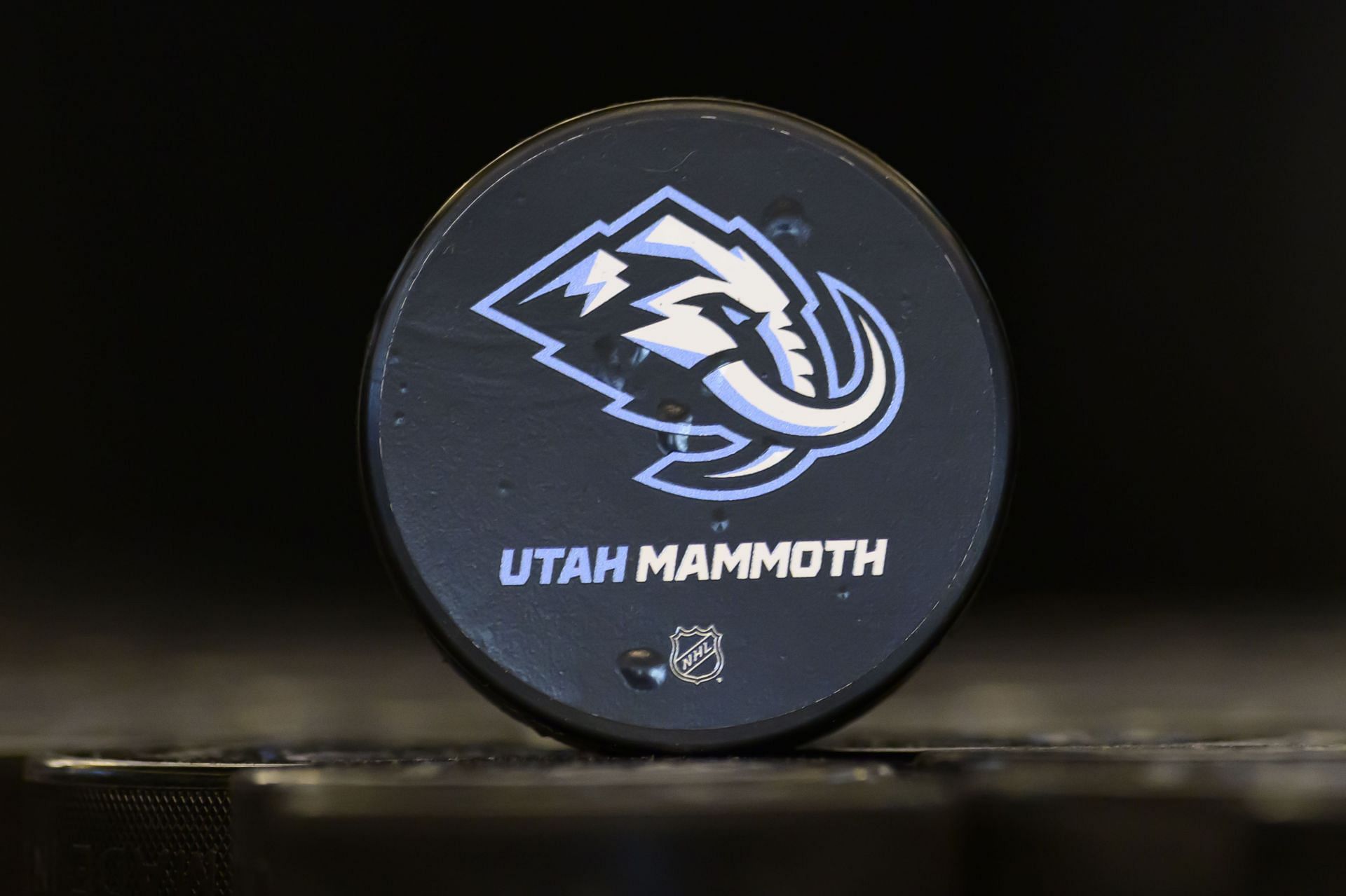 Utah Mammoth Introductory Press Conference - Source: Getty