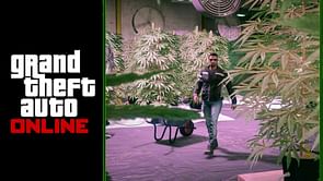 GTA Online Weed Farm Business Guide (2025)