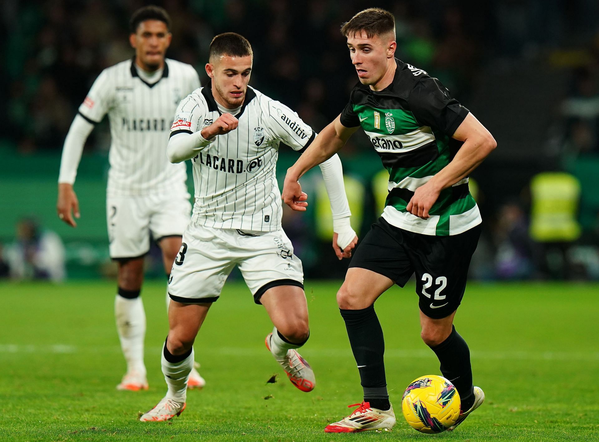 Sporting Clube de Portugal v SC Farense - Liga Portugal Betclic - Source: Getty