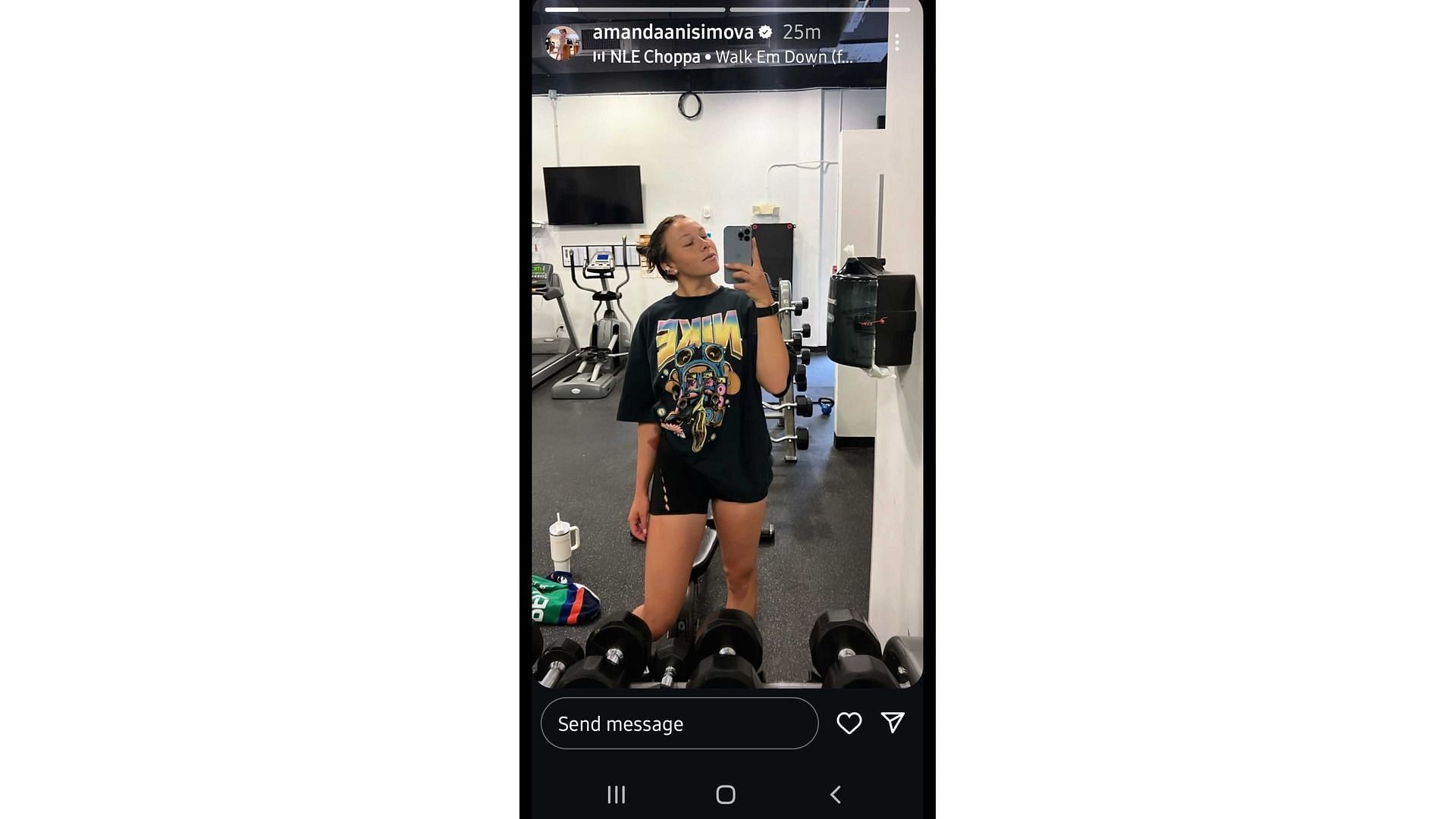 Screenshot of Anisimova&#039;s story (Image via: @amandanisimova)