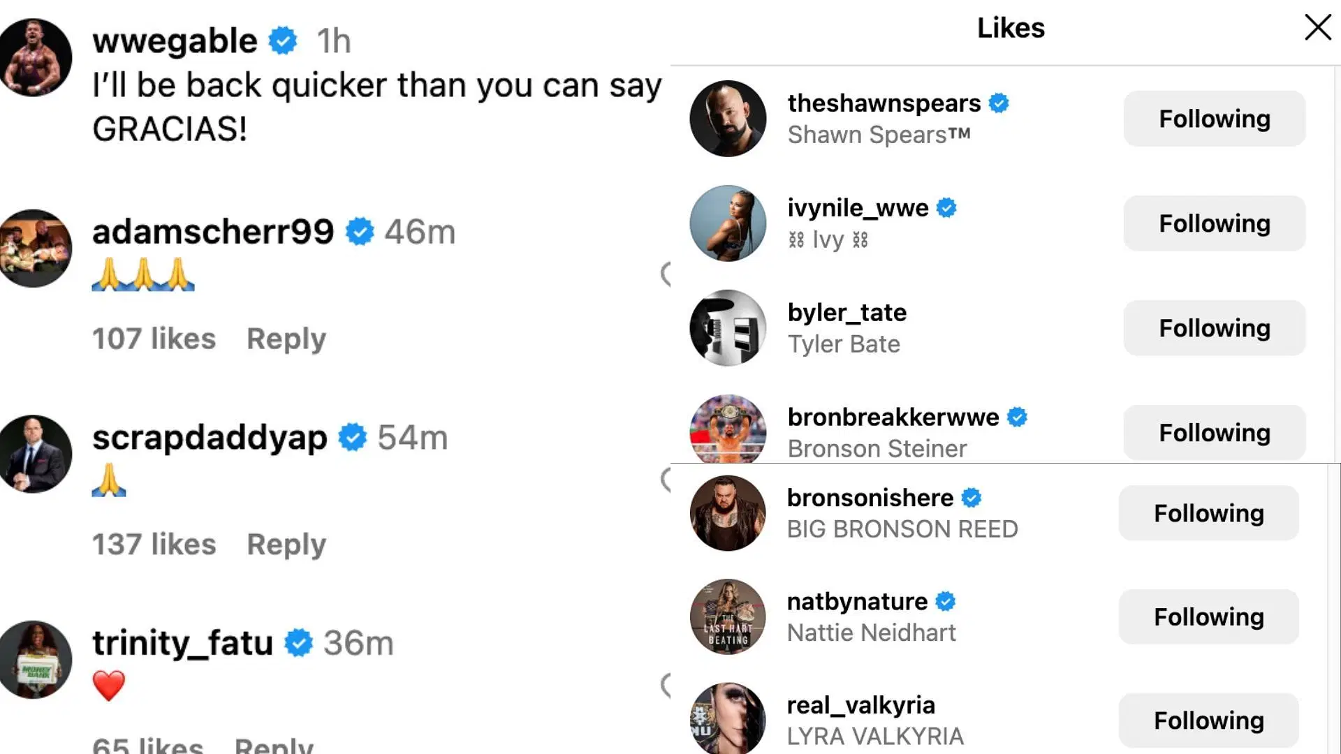 Stars reacted to Gable&#039;s update today on Instagram. [Image credit: Chad Gable on Instagram]