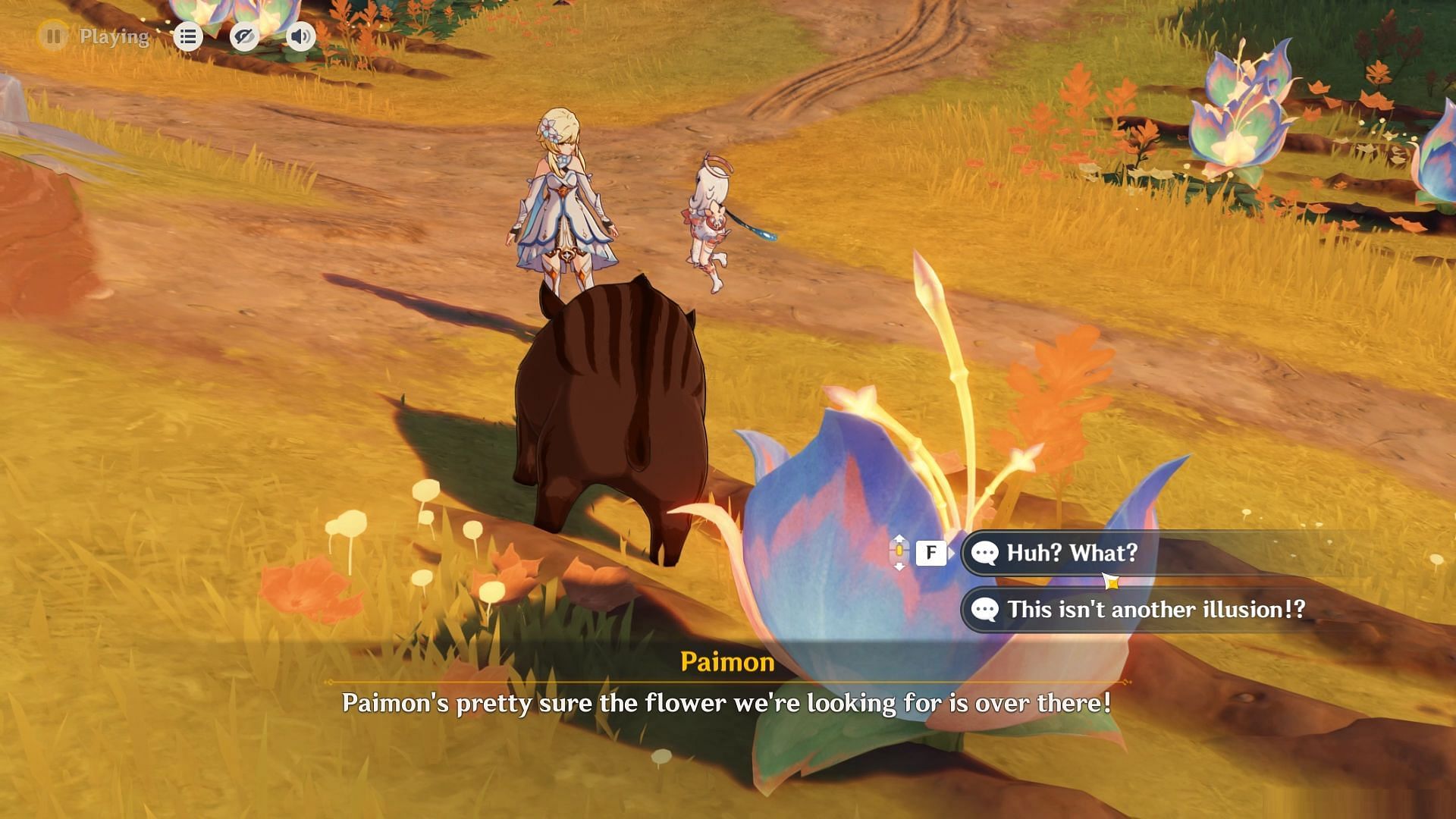 Interact with the boar (Image via HoYoverse)