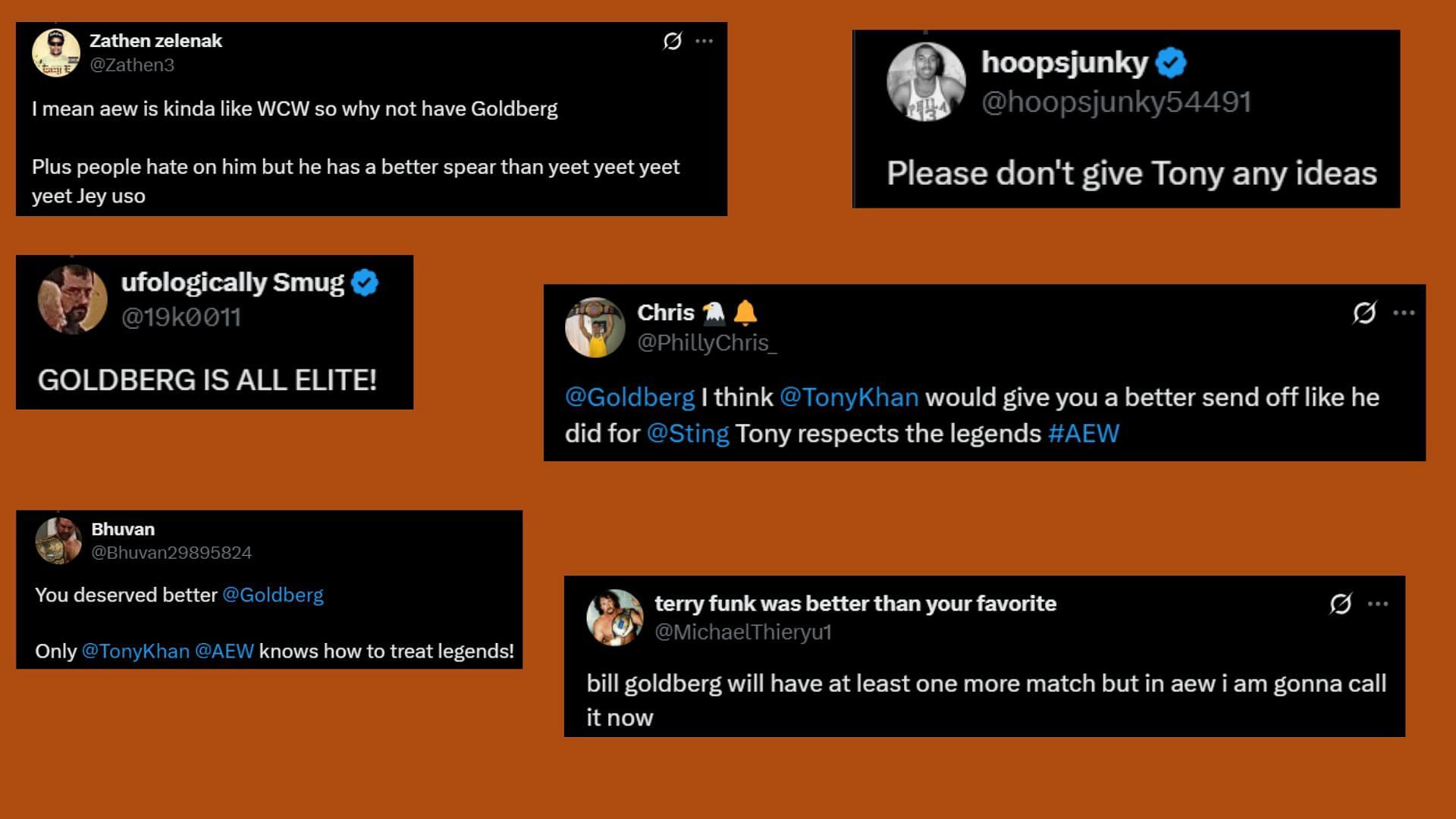 Fan reacted to Goldberg&#039;s retirement [Credit: Fan reactions on X]