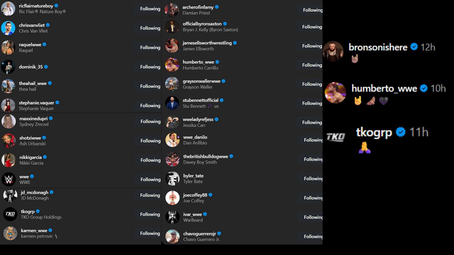 Screenshots of stars&#039; likes and comments [Image credit: Triple H&#039;s Instagram handle]