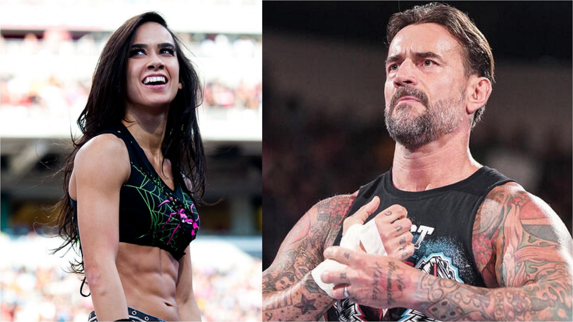 AJ Lee and CM Punk