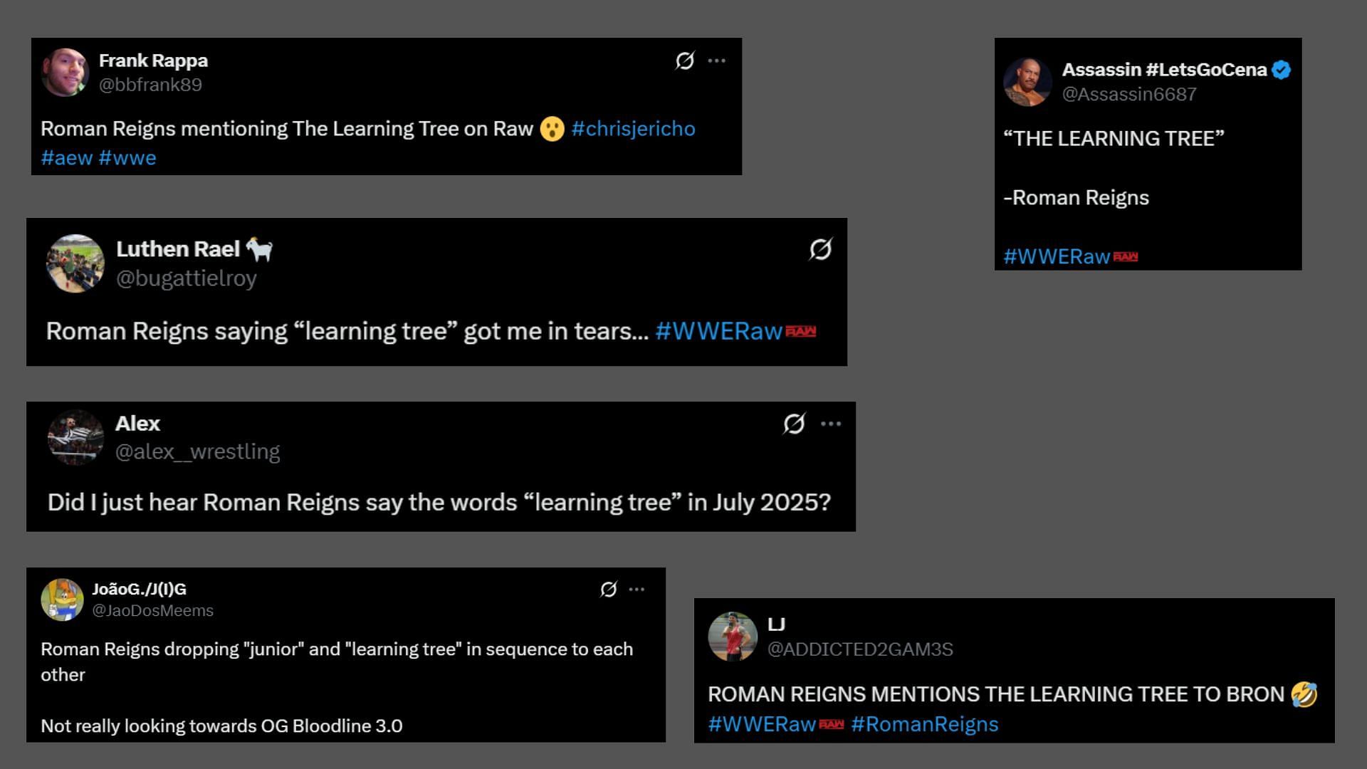 Fan reactions on X.
