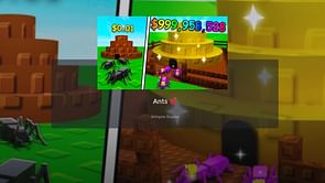 Ants: A beginner's guide