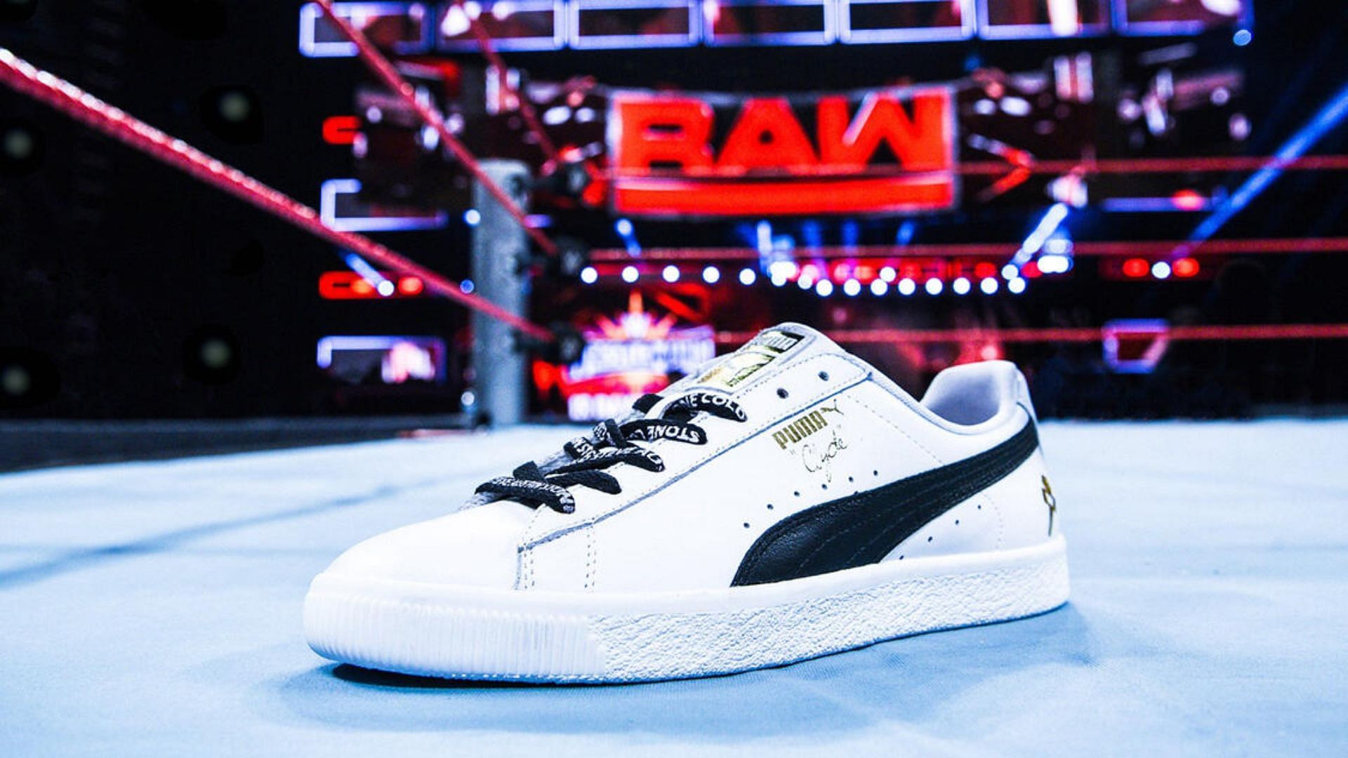 The star is done (Credit: WWE.com)