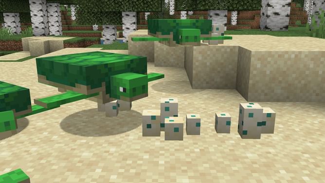 Minecraft turtle egg guide: Obtaining, hatching, and more