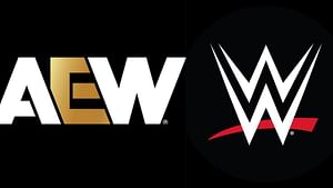 WWE legend makes a blockbuster announcement; confirms status for AEW All In