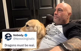 "Birds aren't real" - Fans react to Joe Rogan's message to "people that still don't believe in conspiracies"