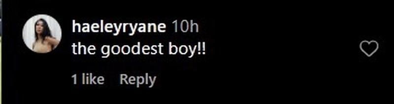 Elake Snell&rsquo;s wife, Haeley Ryne, commented on Meghan Murphy&#039;s post &quot;The goodest boy.&quot;(via Instagram)
