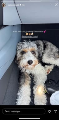 Ivana's Instagram story (@ivananedved)