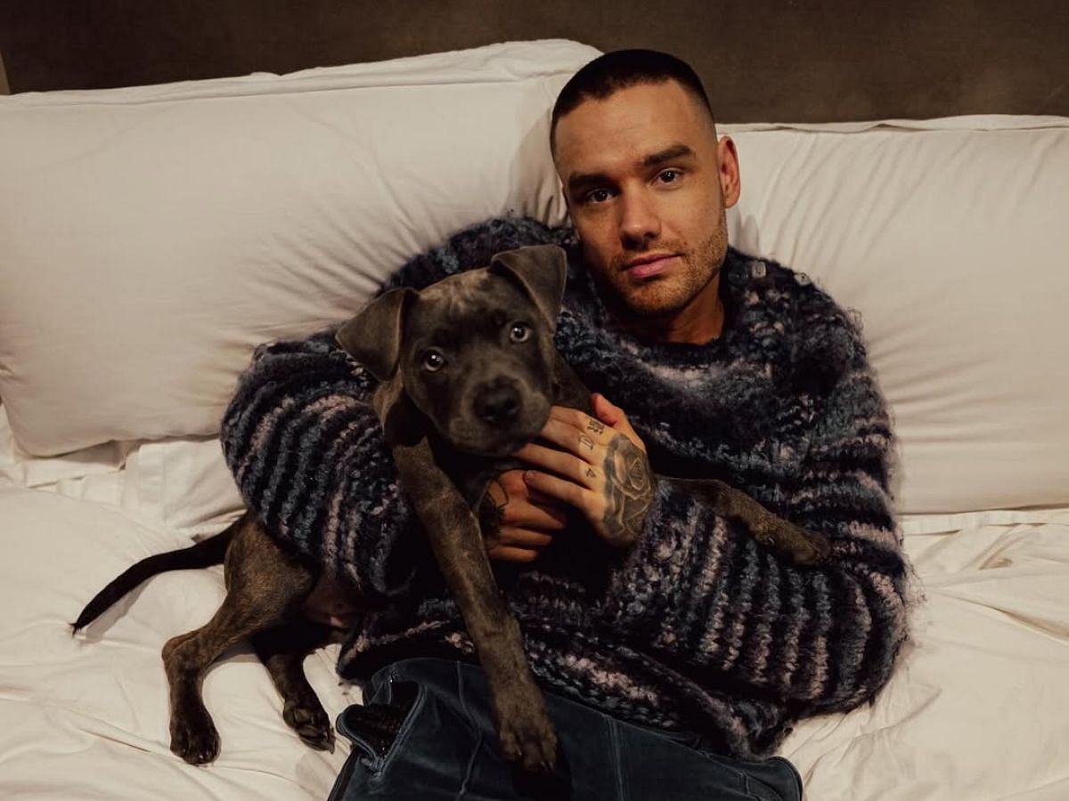 Liam Payne from One Direction (Image via Instagram/@laimpayne)