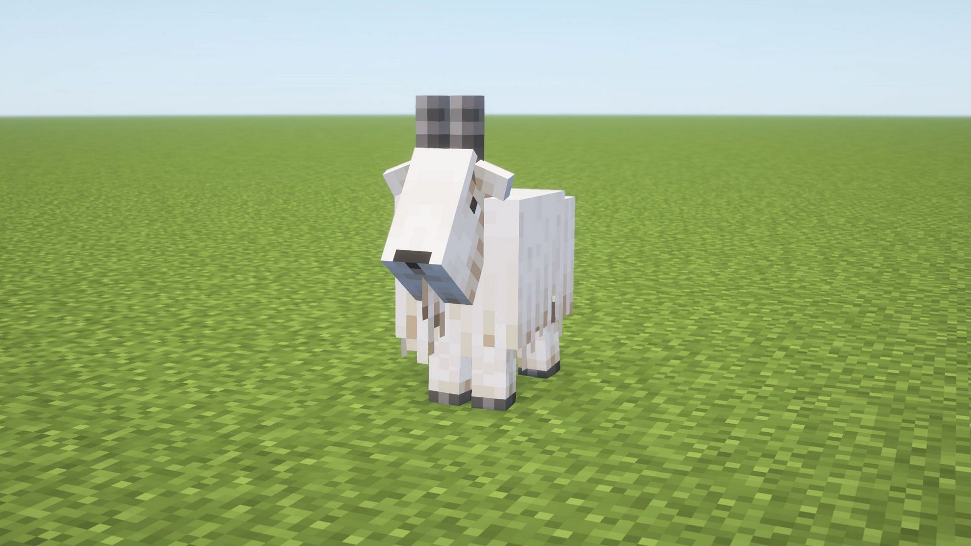 Goat can have different colors and can spawn in low-altitude places (Image via Sportskeeda Gaming || Mojang Studios)