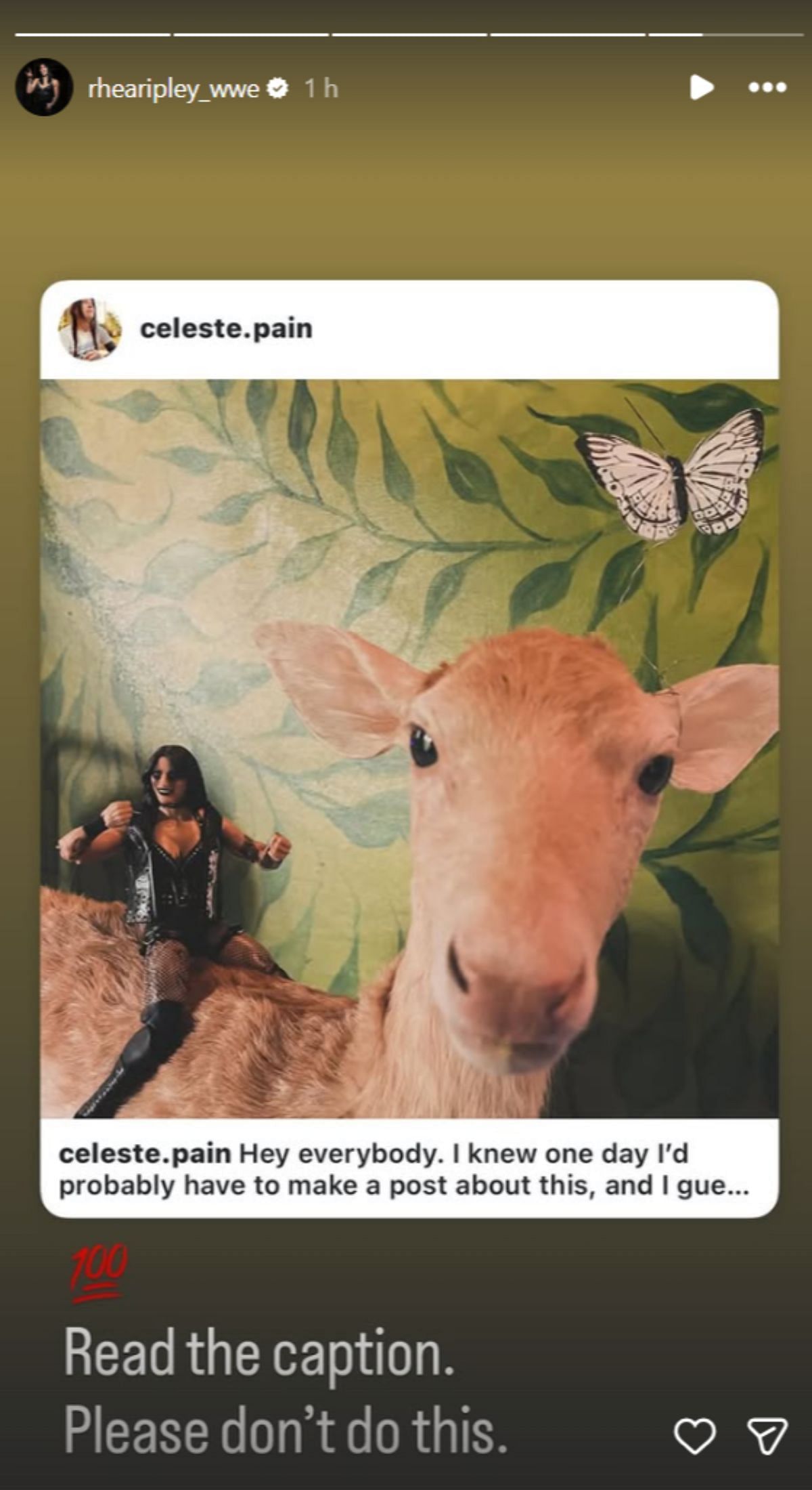 Rhea Ripley shares her tattoo artist&#039;s post. [Picture credits: The star&#039;s Instagram story]