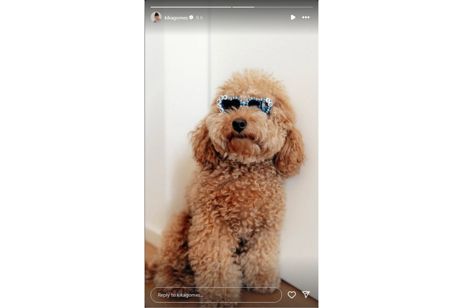 Pierre Gasly and Kika Gomes&#039;s pet dog, Simba (@kikagomes on Instagram)