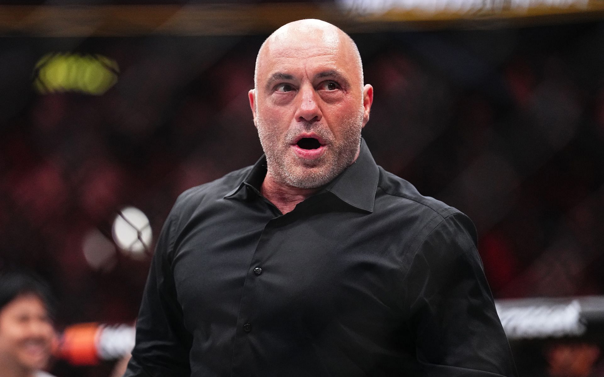 Joe Rogan talks about betting in early UFC days. [Image courtesy: Getty]