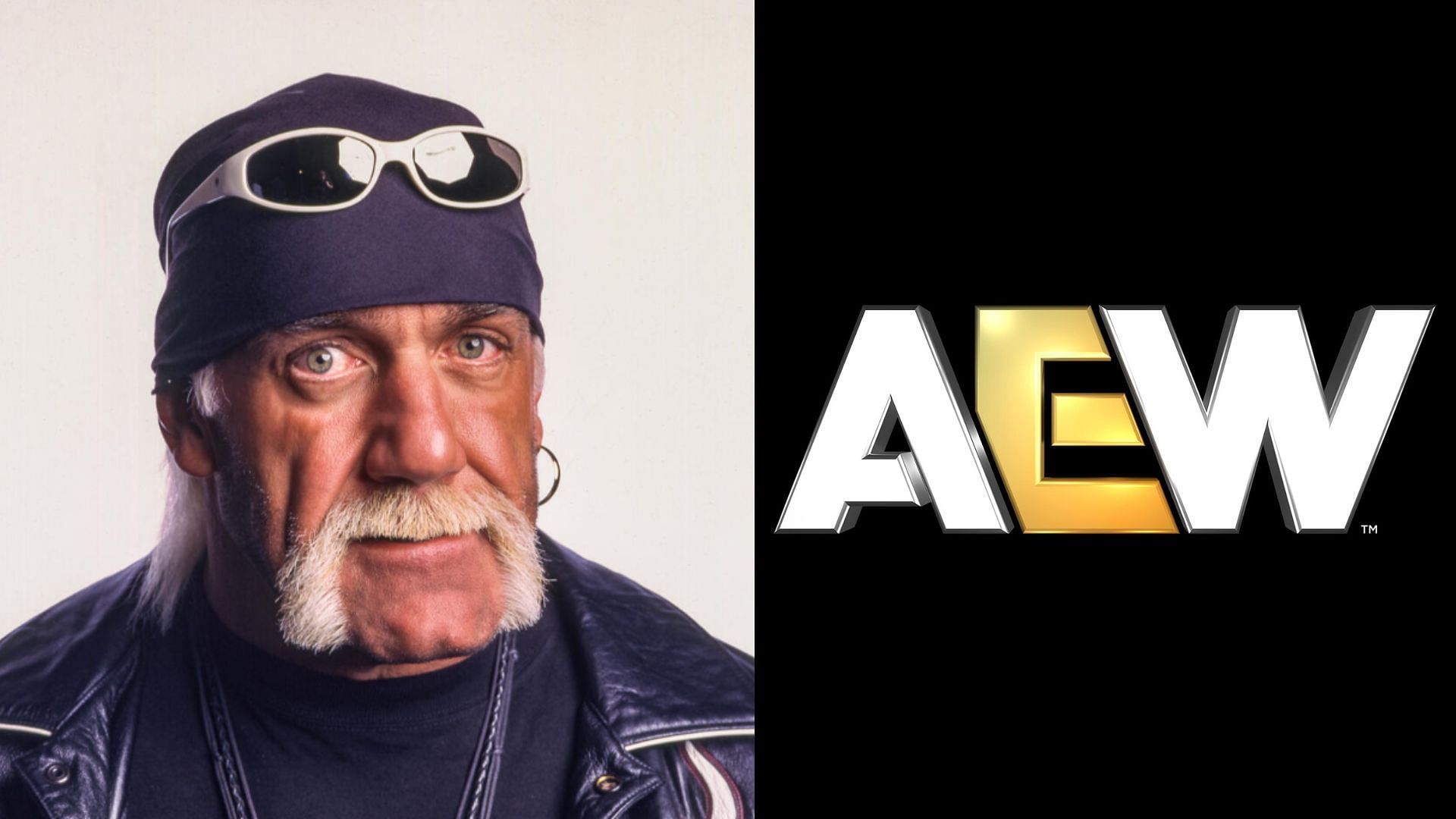 Hulk Hogan was not liked by all. (Images via WWE.com and AEW Facebook) 