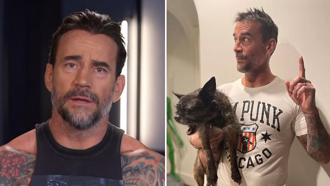 CM Punk sends heartfelt message after major appearance outside WWE