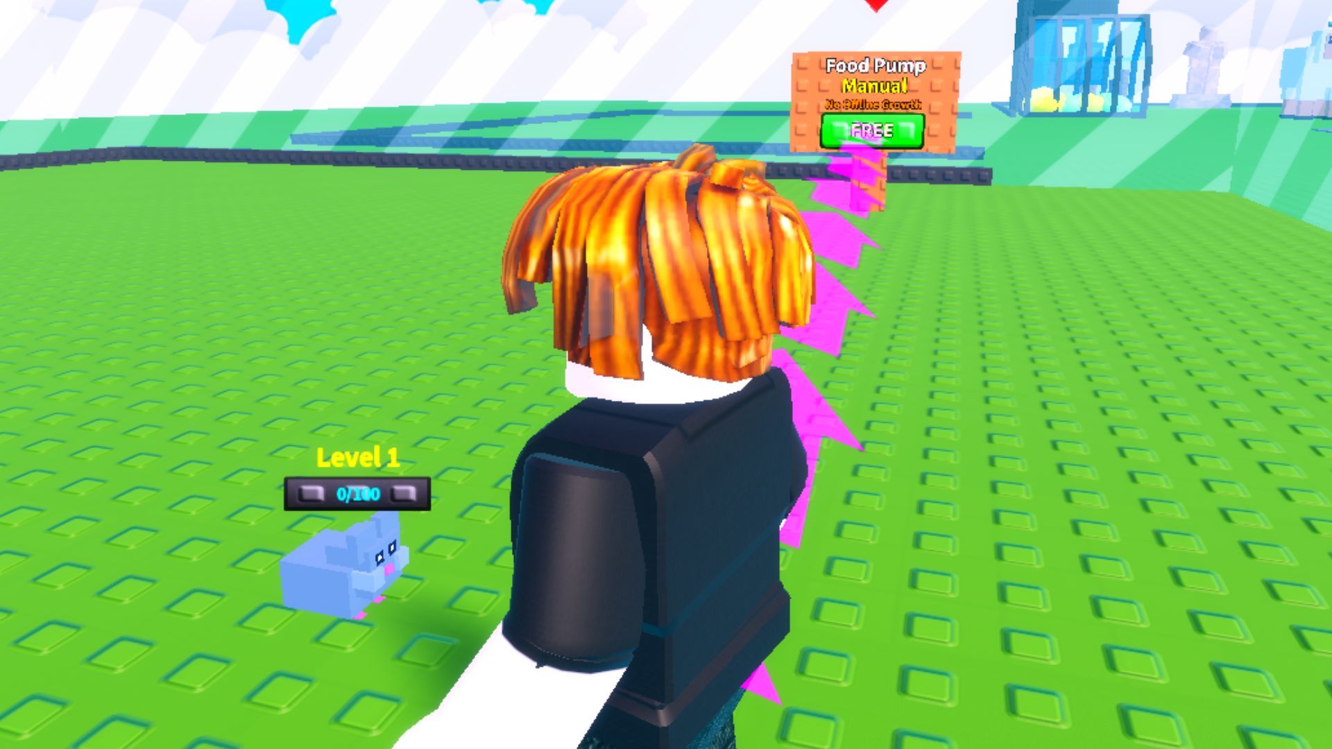 Level 1 Pet and Free Pump in the game (Image via Roblox)