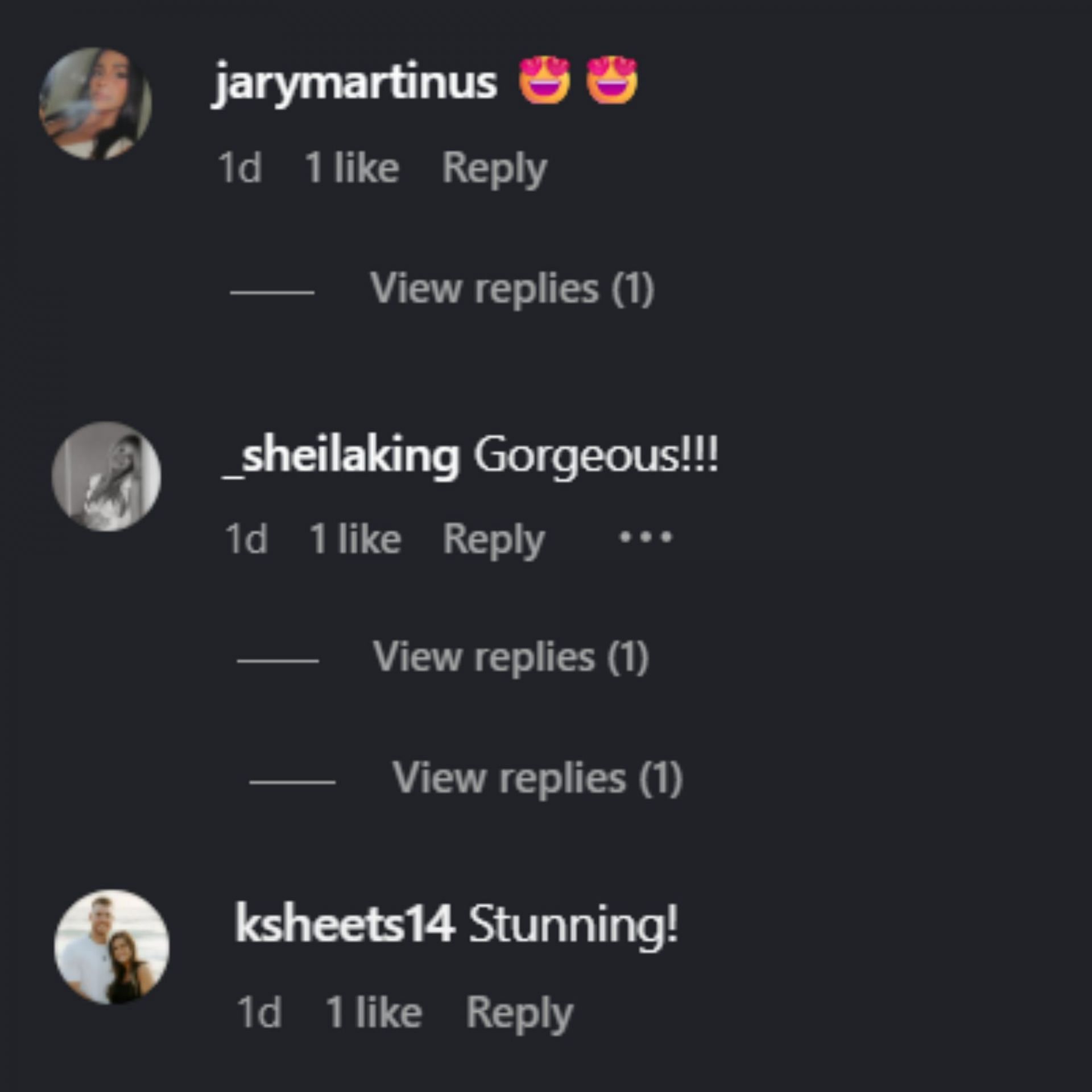 Screenshot of comments [Image Source: Instagram/christenash]
