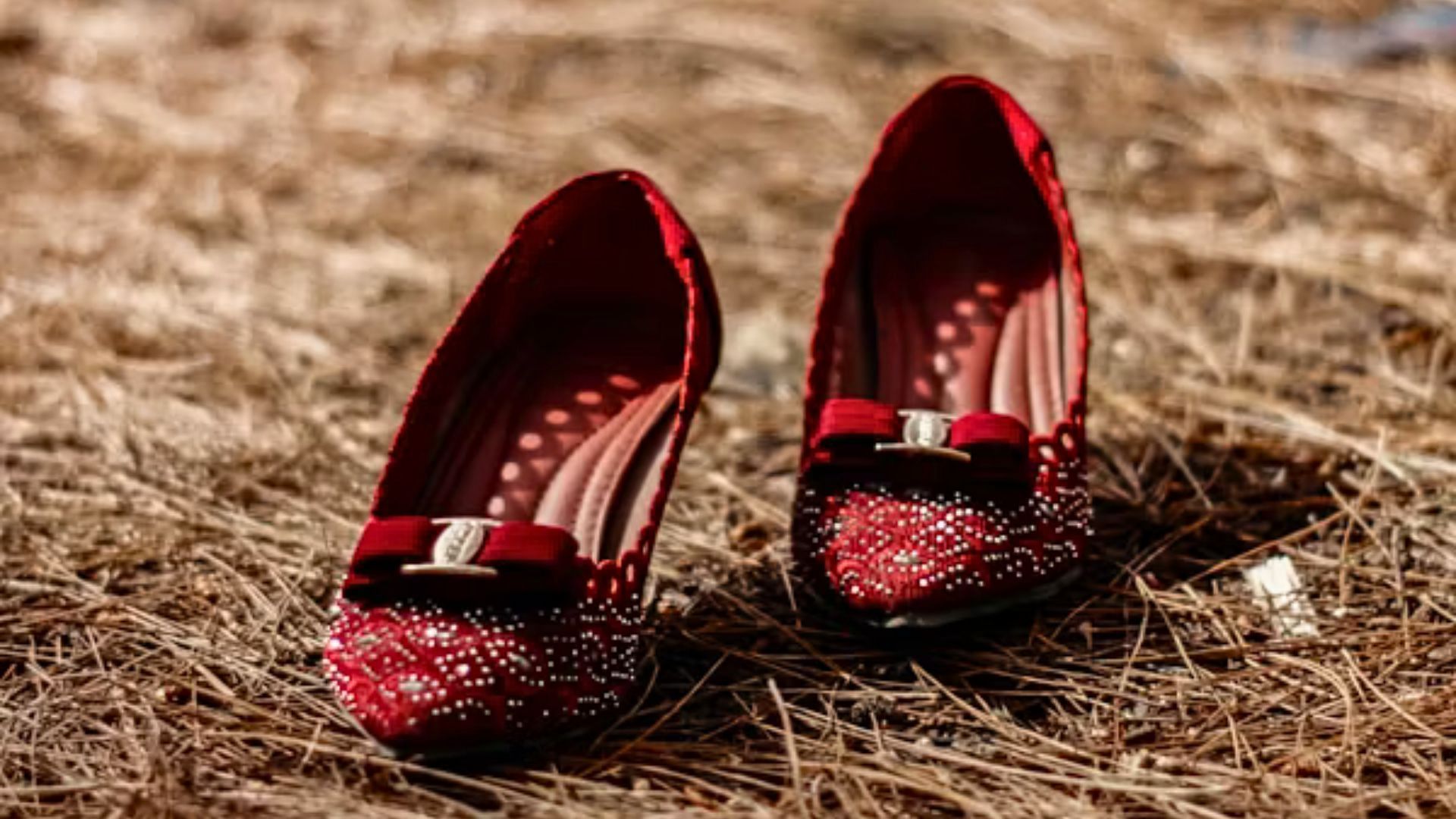 Jodi&#039;s belongings were scattered around in her parking lot (Representative Image via Unsplash/@ARIFKI RAHMADHANI)