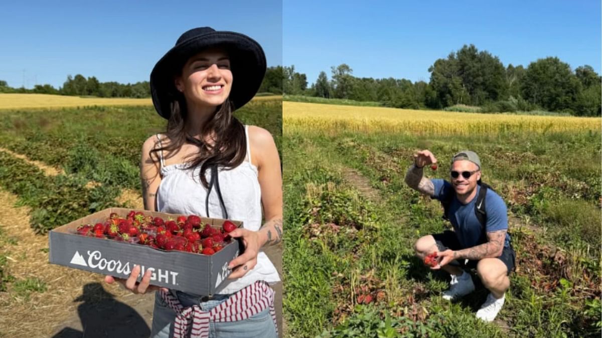 In Photos: Leafs' Max Domi and girlfriend Estelle go strawberry-picking in Ontario farm during offseason