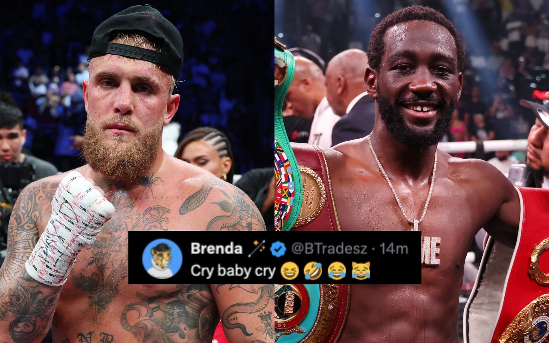 Fans react to Jake Paul (left) sounding off on Terence Crawford (right). [Images courtesy: Getty Images]