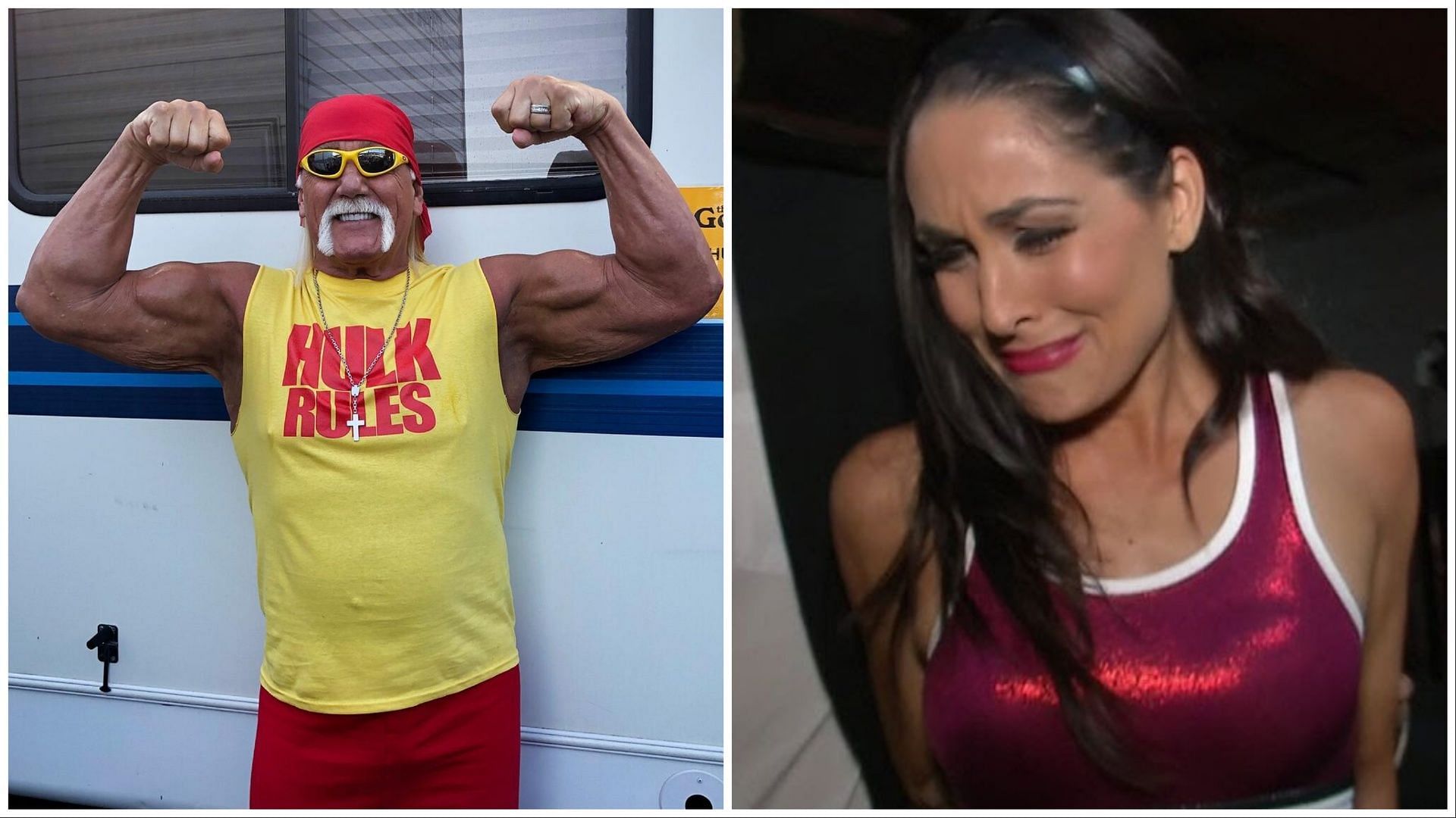 Hulk Hogan and Brie Bella. (Photos: WWE.com and WWE on YouTube)