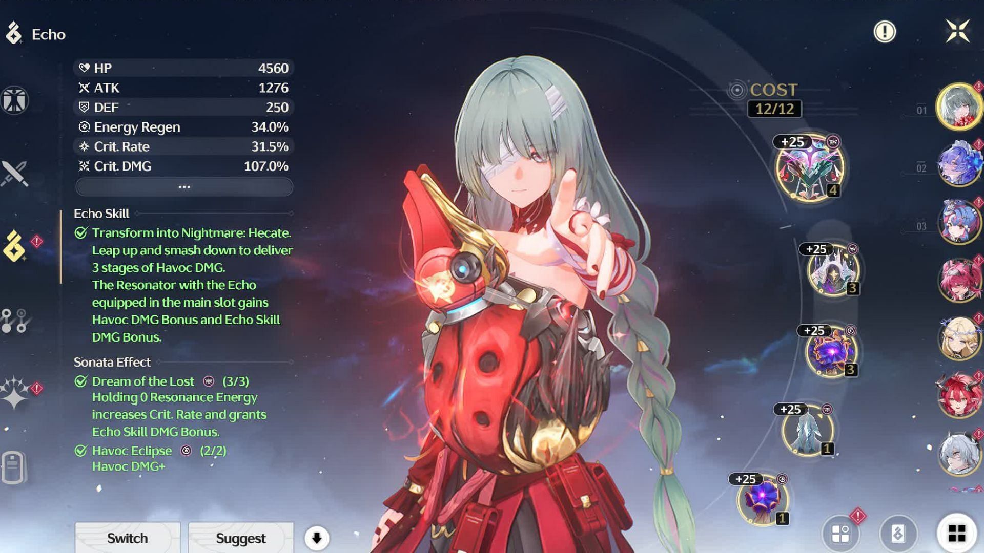 Echo Sets (Image via Kuro Games)