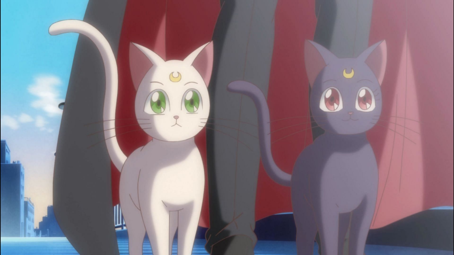Luna and Artemis in Sailor Moon Crystal (Image via Toei Animation)
