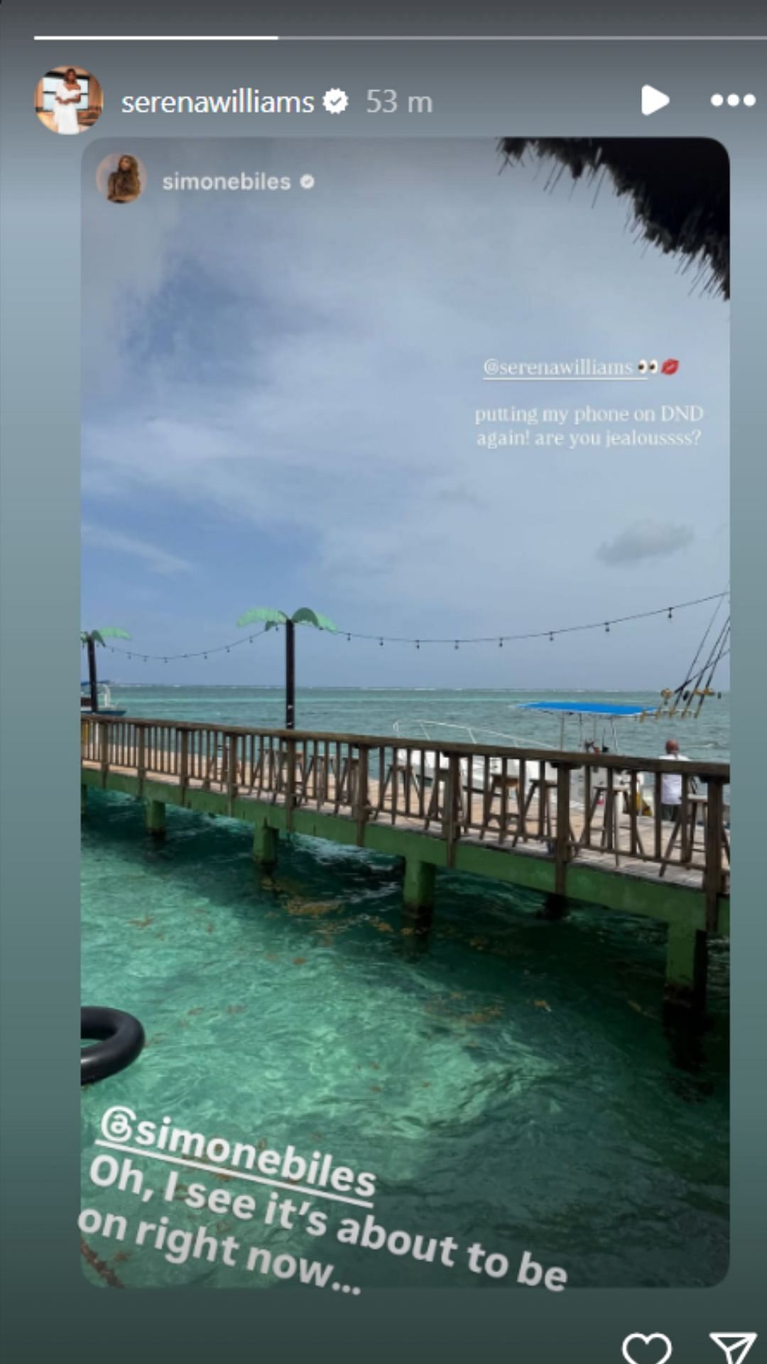 Screenshot of story (IG/@serenawilliams)