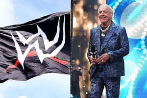 Former WWE champion sends a message to Ric Flair after his unfortunate real-life update