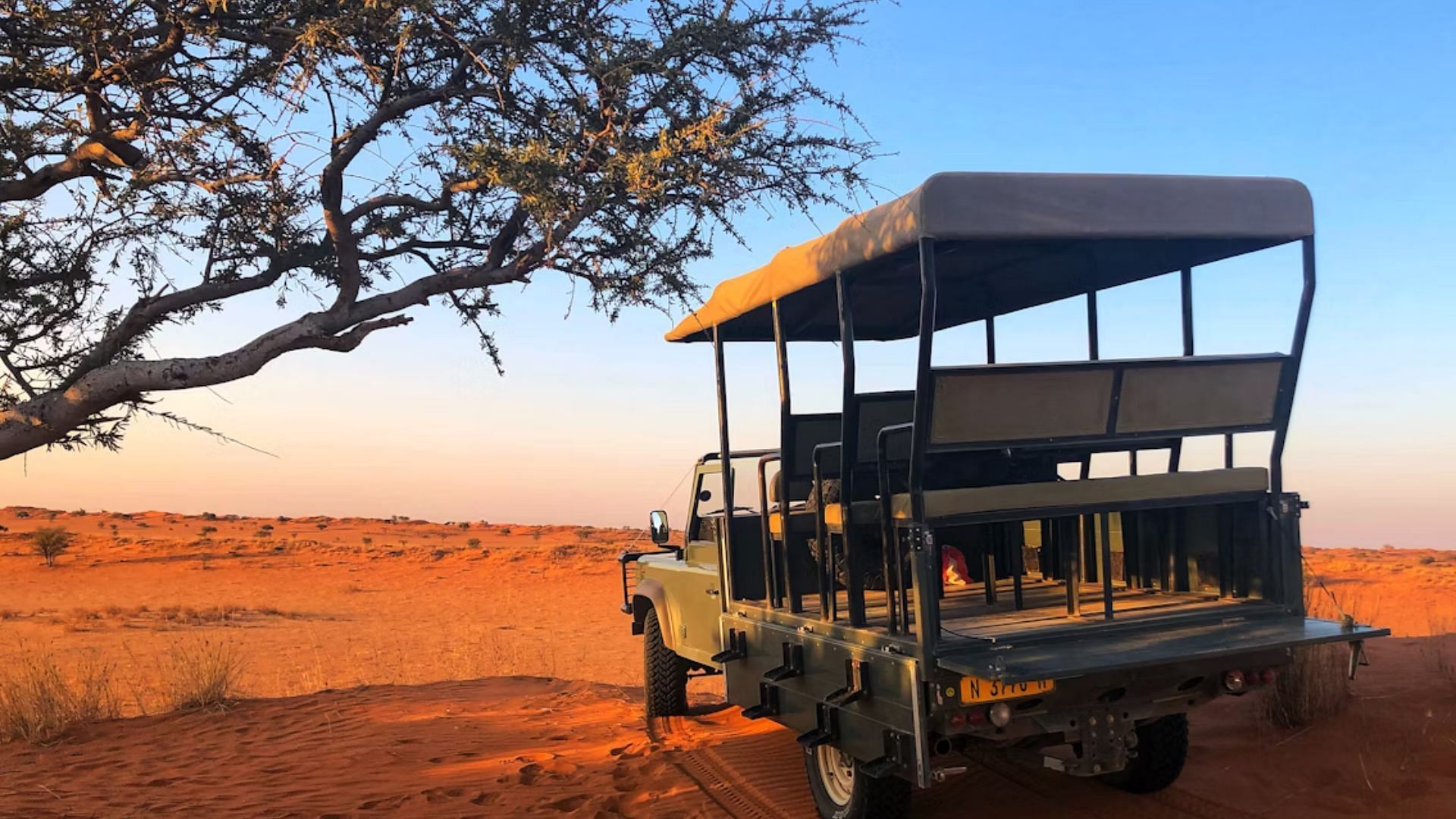 Trophy Wife: Murder on Safari (Image via Unsplash/ @  Bernd 📷 Dittrich)