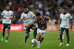 Fluminense vs Palmeiras Prediction and Betting Tips | July 23rd 2025