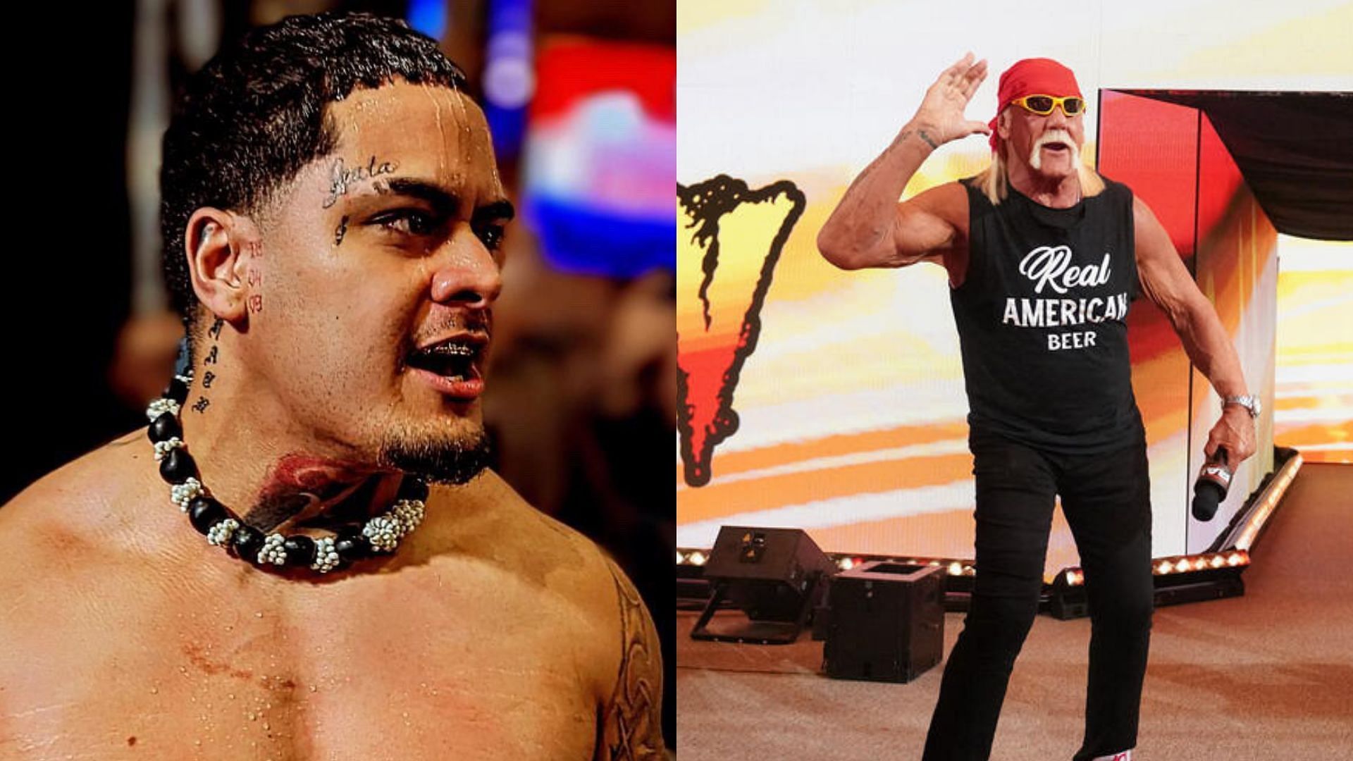 Zilla Fatu, Hulk Hogan (Image Credits: Zilla Fatu on X, WWE.com)