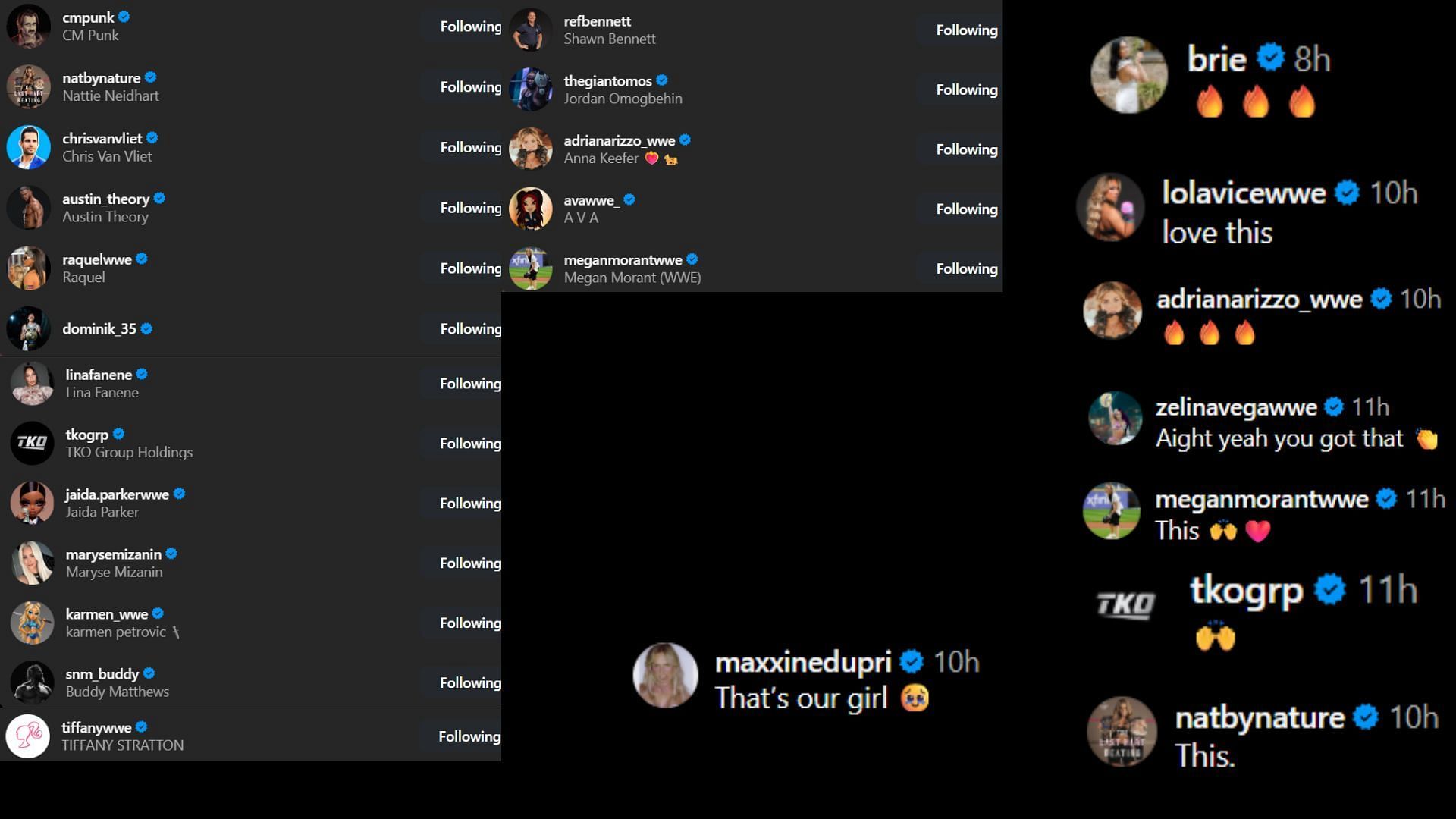 Screenshots of stars&#039; likes and comments [Image credit: Rhea Ripley&#039;s Instagram handle]