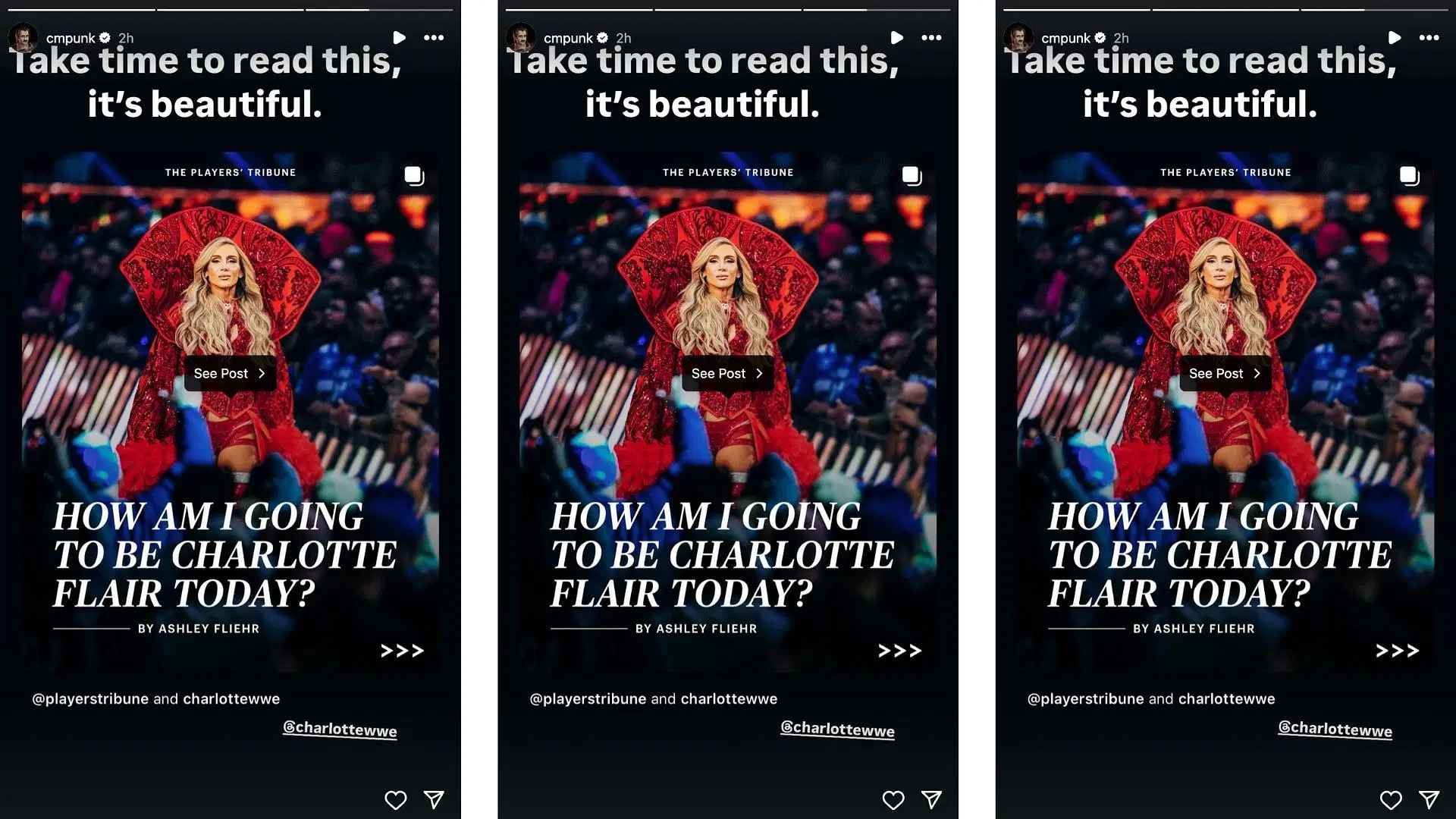 The legend sent a heartwarming message to Flair today on social media. [Image credit: CM Punk on Instagram]