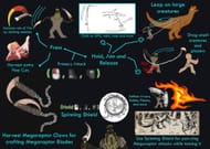 Illustration for Megaraptor Blades (Image via SurviveTheArk Forum)