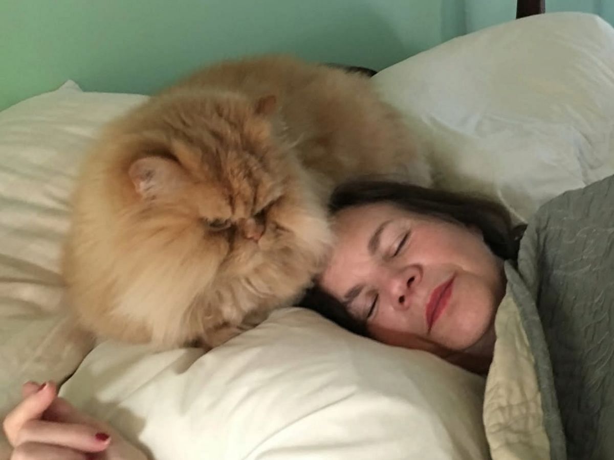 Whitney with her late cat, Henchimayne (Image via Instagram/@whitneywaythore)