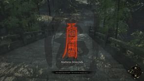 What is Madness in Wuchang: Fallen Feathers