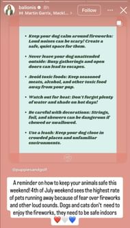 Immagine presa dalla storia di Instagram di Amanda Balionis (Instagram/@Balionis)