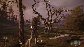 Soulframe: How to reveal the map